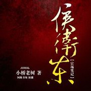 侯卫东官场笔记全集