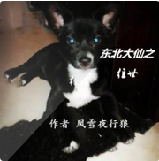 东北大仙之往世