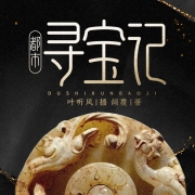 都市寻宝记