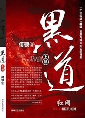 打黑组