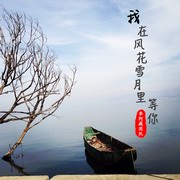 我在风花雪月里等你