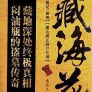 藏海花2