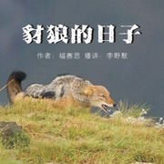 豺狼的日子