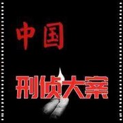 刑侦大案